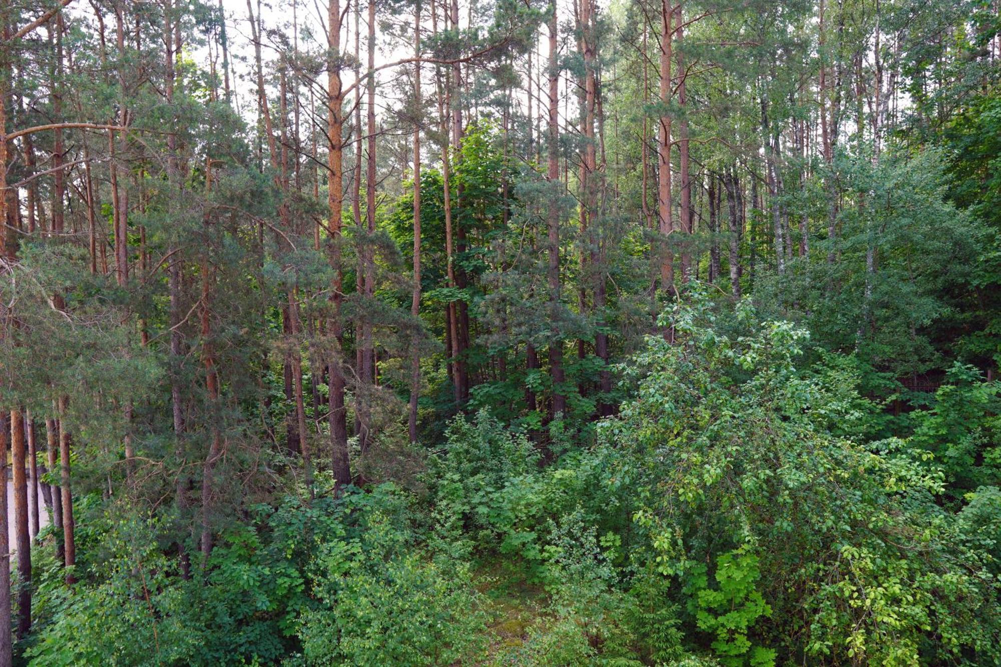 Nykscio Namai & Spa Anykščiai Buitenkant foto
